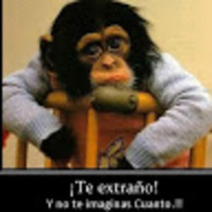 Meet your Posher, Carlos